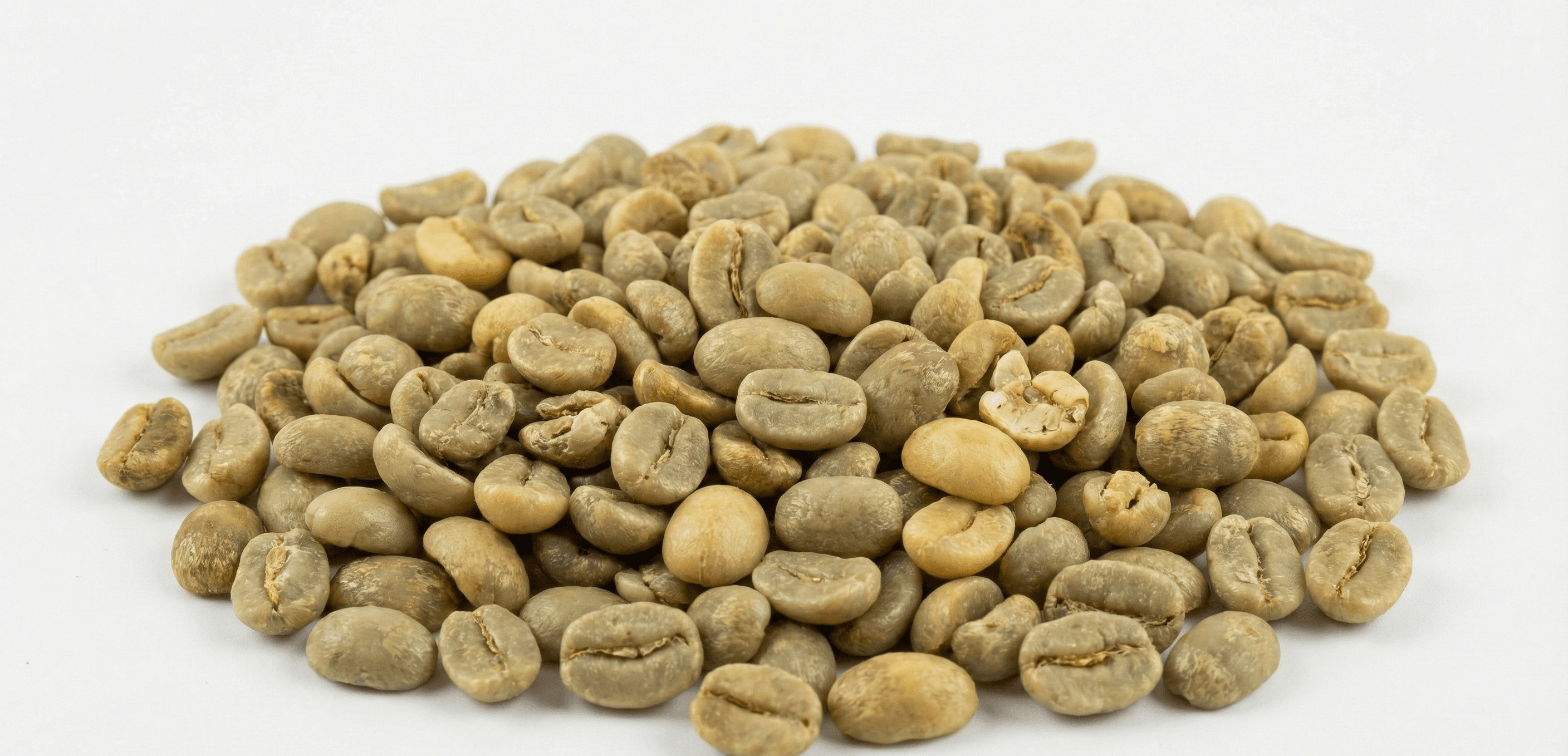 Arabica Plantation B (Green Beans) - Indian Coffee Export | VB Exports